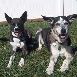 Fundraising Page: Deb Van Dusen